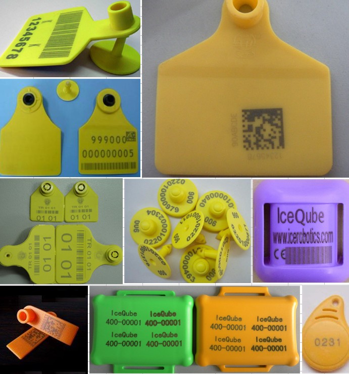 وضع عينة من العلامات والنقش من تقنية Xintian545